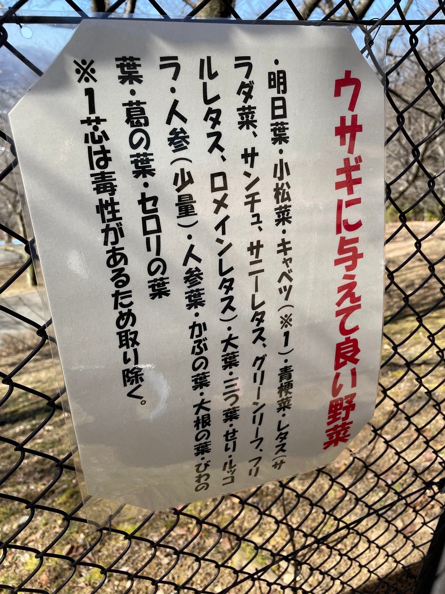 writer_nakamura05_03