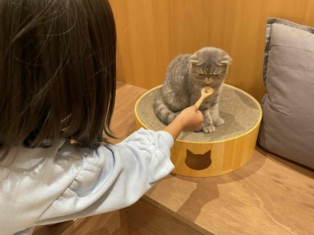 writer_nakamura11_03