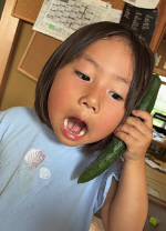 writer_yamamoto202602_01