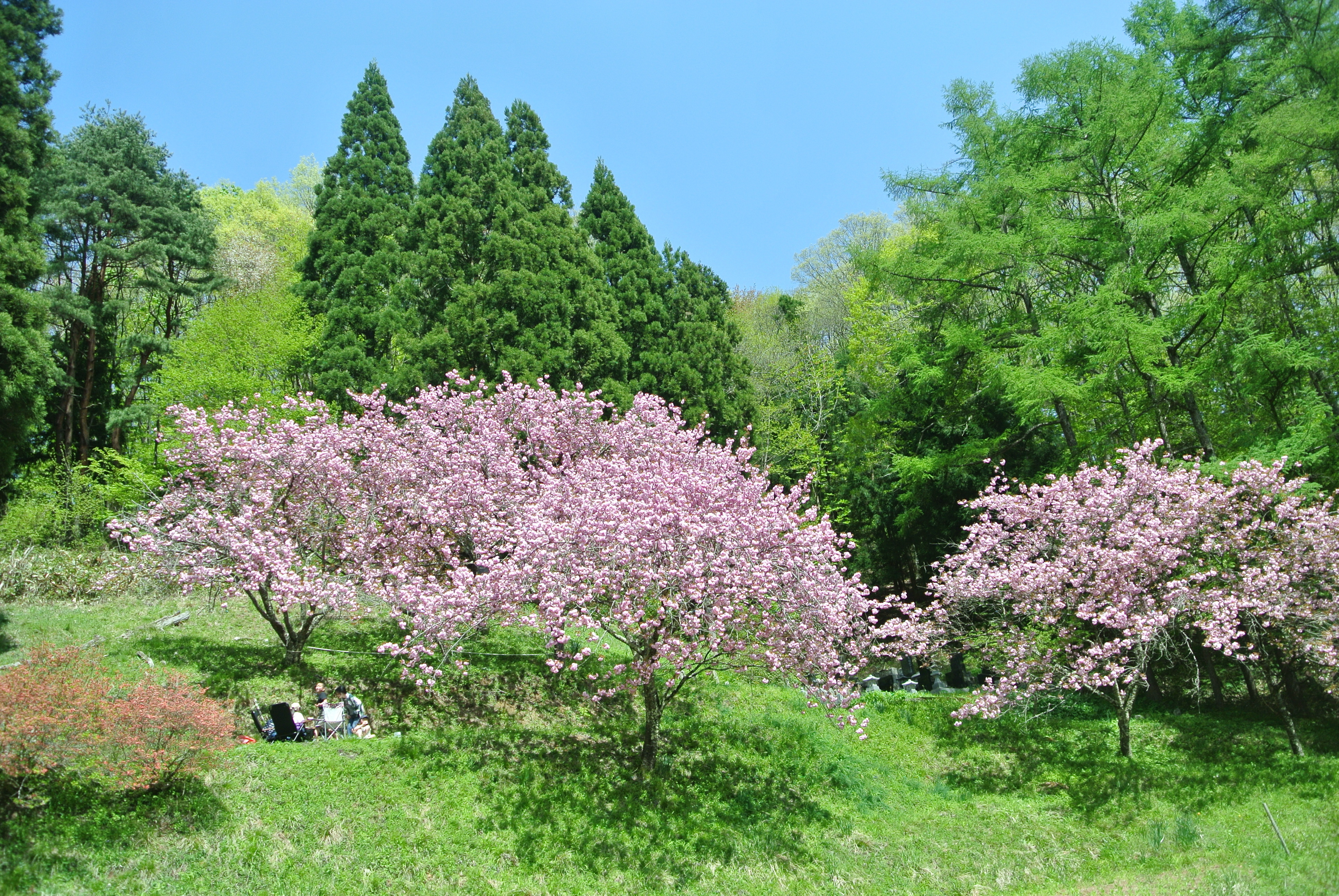 writer_yokoyama05_01
