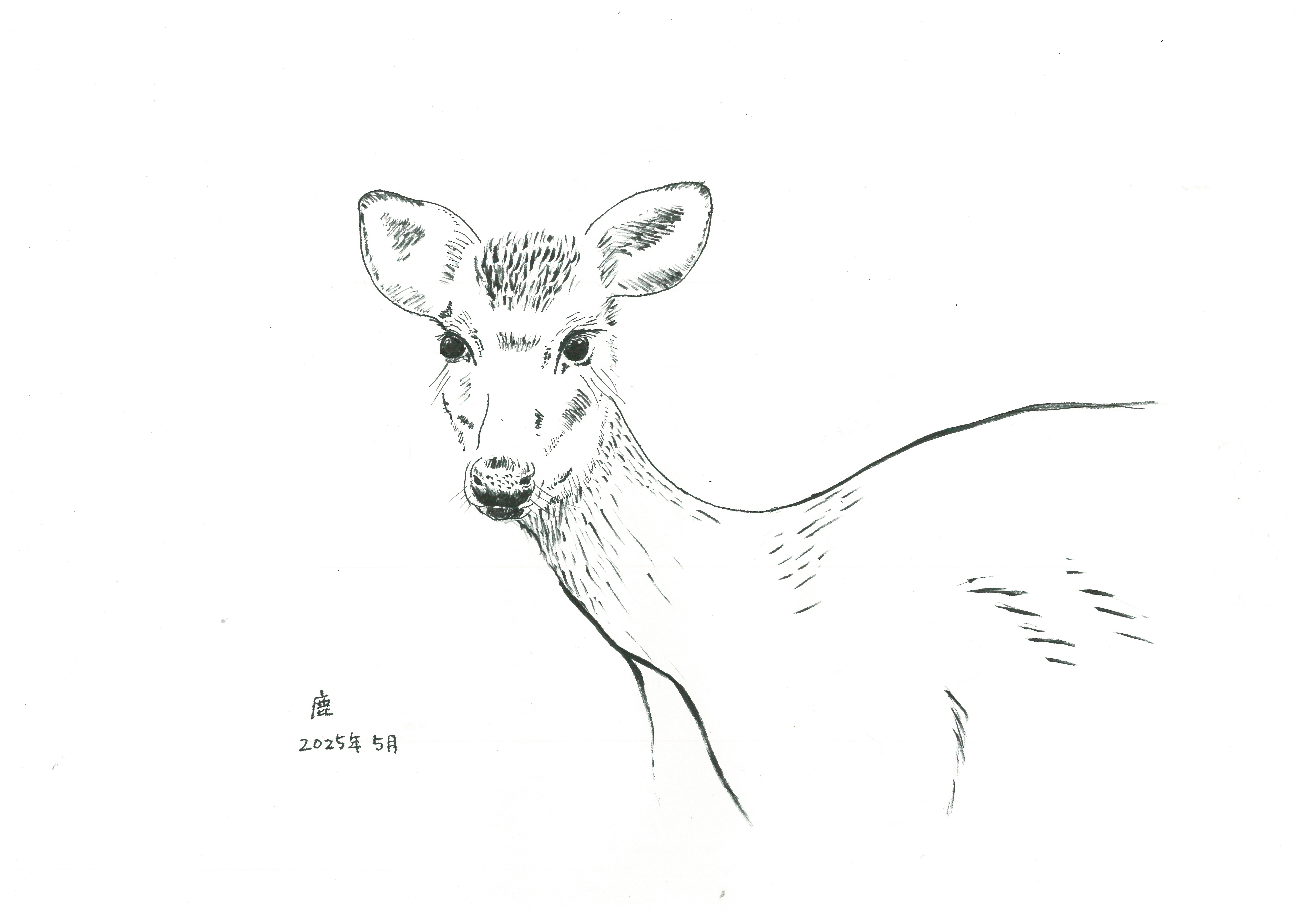 writer_yokoyama05_02