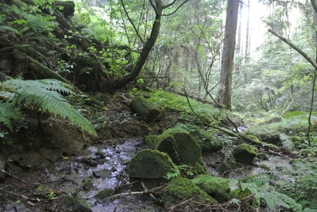 writer_yokoyama08_05