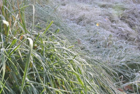 writer_yokoyama11_samune01