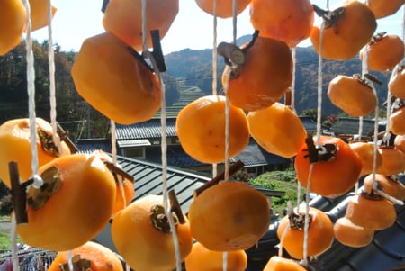 writer_yokoyama11_samune02