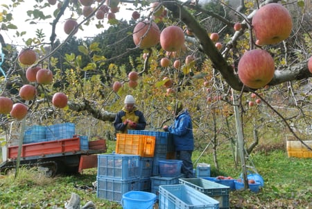 writer_yokoyama11_samune03