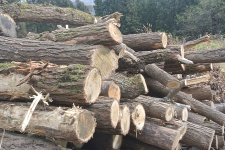 writer_yokoyama11_samune04