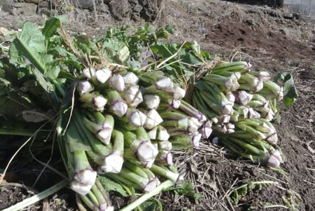 writer_yokoyama12_01