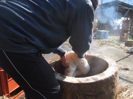 writer_yokoyama12_04