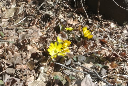 writer_yokoyama202602_01