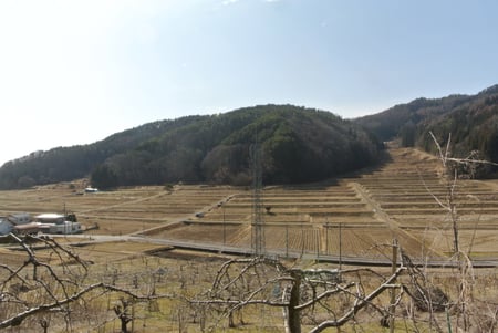 writer_yokoyama202602_03