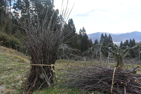 writer_yokoyama202602_04