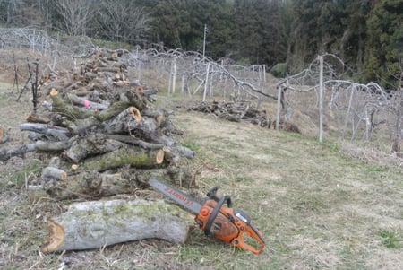 writer_yokoyama202602_05