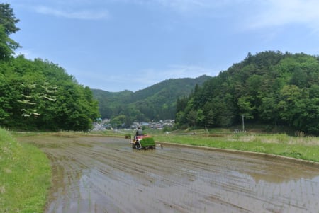 writer_yokoyama202605_01