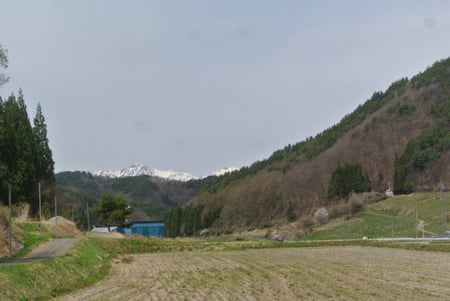 writer_yokoyama2026_04_02