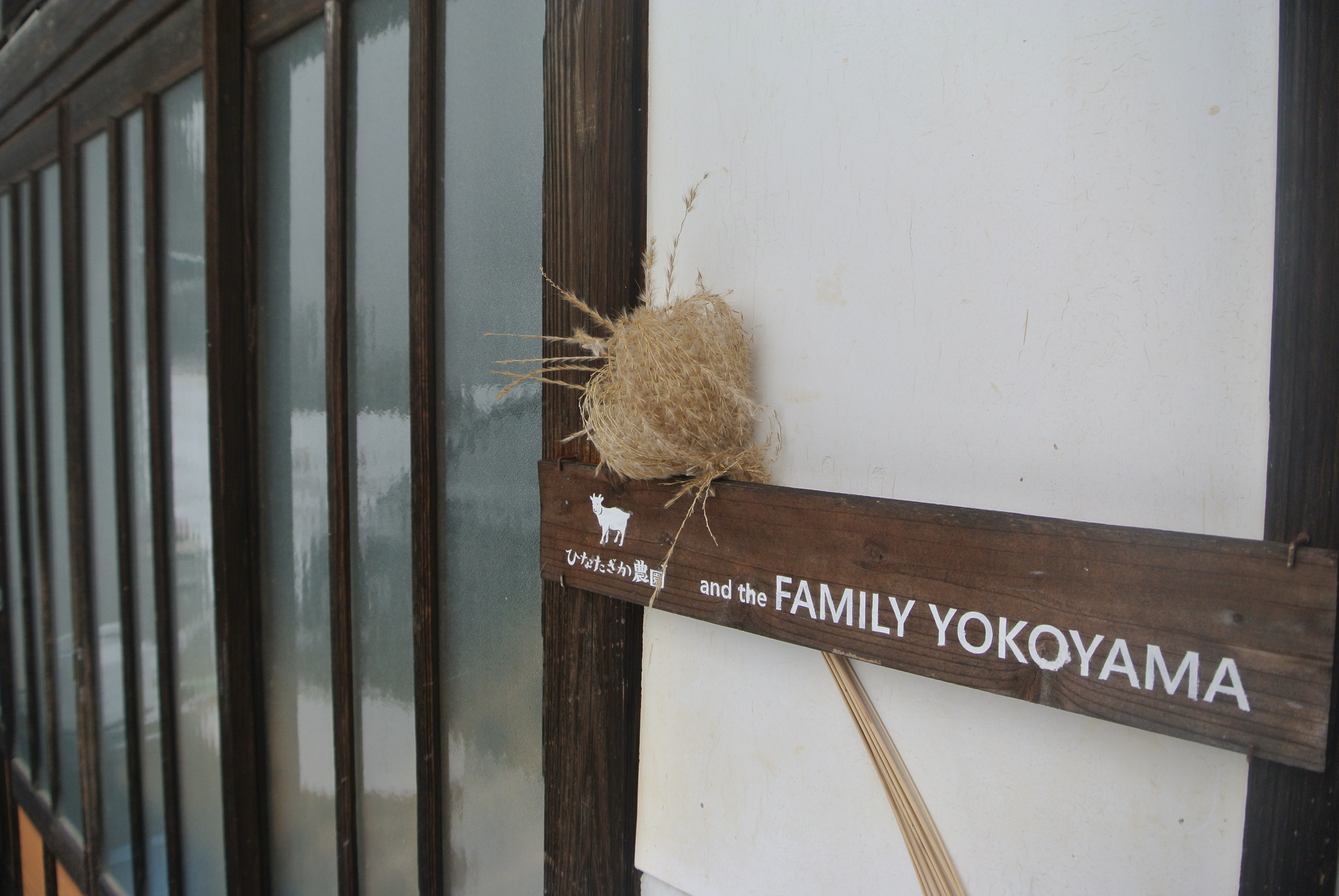 writer_yokoyama01_03