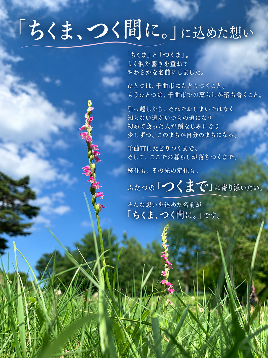 つくま画像